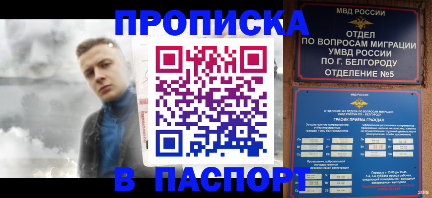 временная регистрация в Щёкино